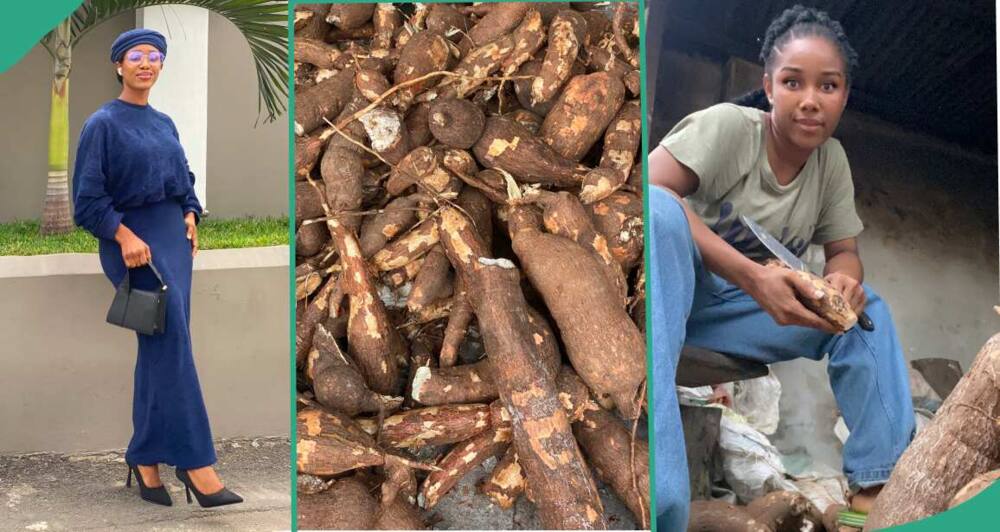 Lady displays huge cassava her dad came home with. laments