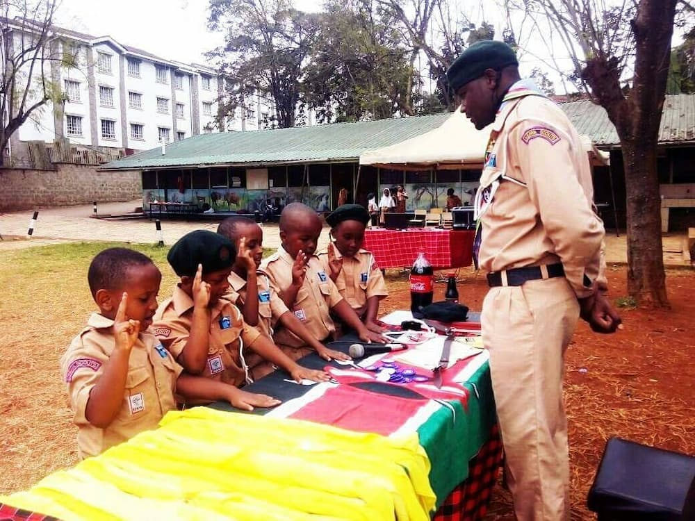 Kenya Scouts Association registration, constitution, contacts