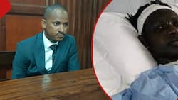 Babu Owino: DPP Appeals against Acquittal of Embakasi MP In DJ Evolve's Shooting Case