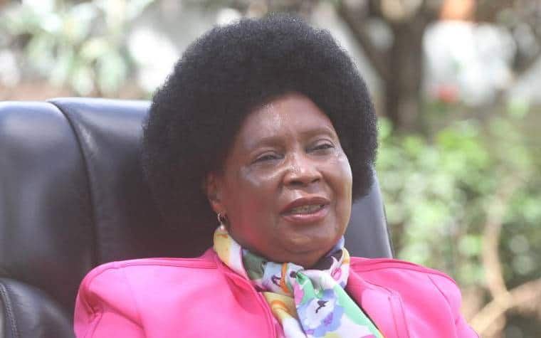 Mary Wambui's appointment as chair of National Employment Authority suspended