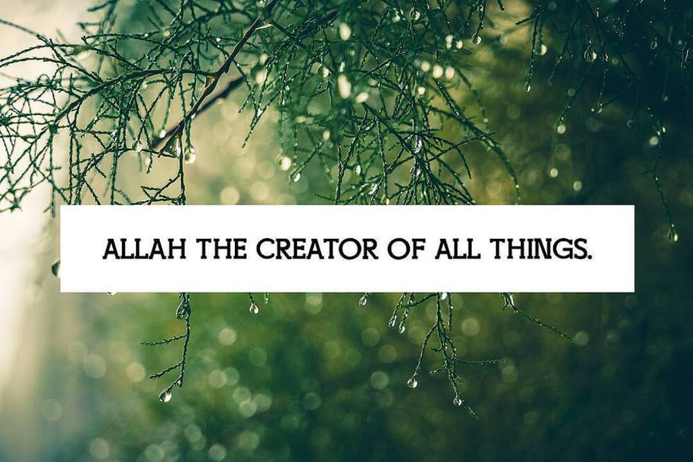 quran quotes images