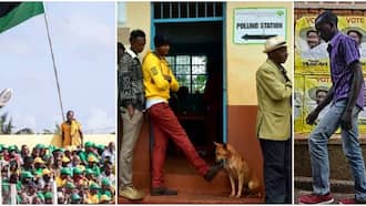 Tanzanians, Ugandans Surprised by Transparency in Kenyan Elections, Zero Blackout: "Inawezekanaje?"