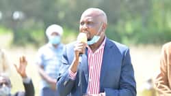 Moses Kuria Tells Politicians to Normalise Losing Elections: "It's Not a Matter of Life and Death"