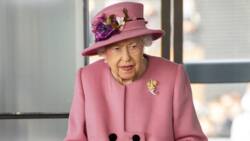 Buckingham Palace Reduces Queen Elizabeth's Workload, Royal Members to Support Her