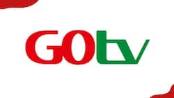 GOtv Supa channels list, package, and subscription cost