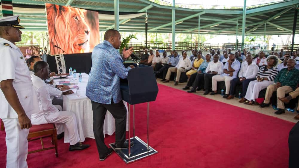 Those idiots should leave me alone: Uhuru Kenyatta responds to critics