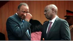 Junet Mohamed Confirms William Ruto Asked Raila for Help to Impeach Uhuru Kenyatta