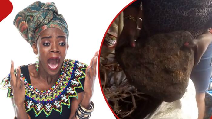 Lady in Disbelief after Finding Huge Stones in Charcoal She Bought: "Shamba La Mawe"