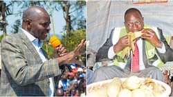 KFA Director Kipkorir Menjo Welcomes William Ruto's Move to Halt Maize Imports