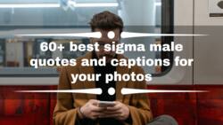60+ best sigma male quotes and captions for your photos