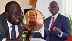 Robert Alai Asks William Ruto to Resign, Hand over Power to Raila Odinga: "He's Failed"