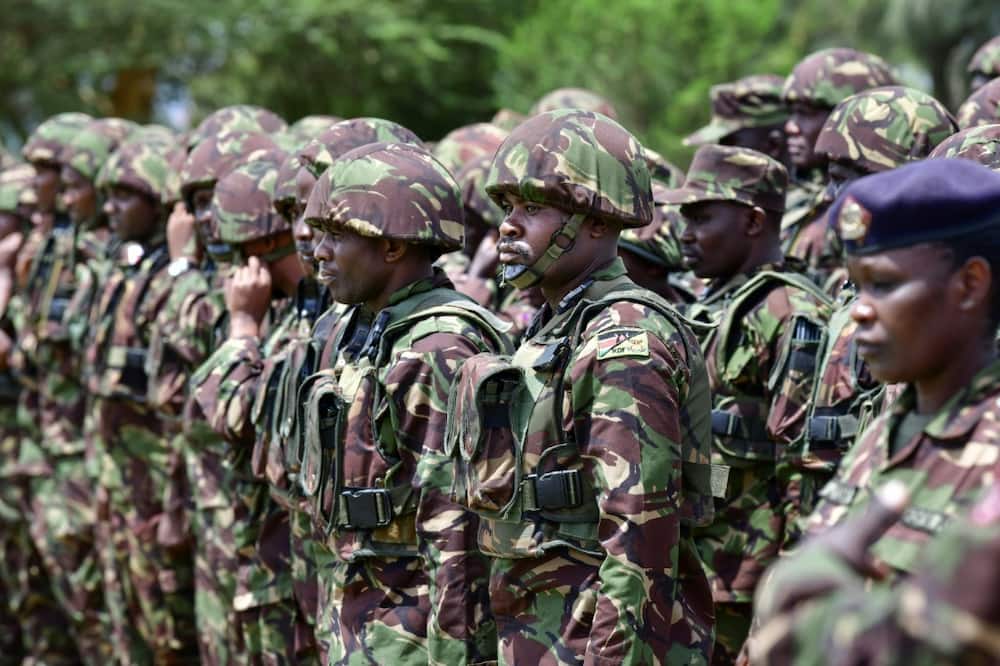 Kenyan troops are part of a planned East African force aimed at stabilising eastern DR Congo