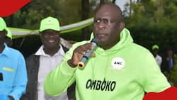 Nairobi: Cracks in Mudavadi's ANC Party as Officials Demand Omboko Milemba's Resignation