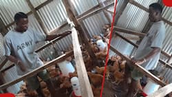 List of 5 Money Mistakes Poultry Farmers Make and How to Avoid Them for Maximum Profits