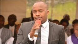 UDA Kigeugeu: Jaguar Slams Party after Losing Starehe Ticket to Simon Mbugua