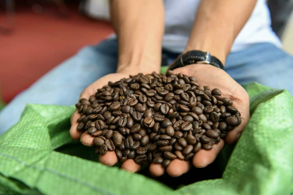 Robusta coffee has a dire reputation, but a small group of farmers in Vietnam is trying to turn the bean's fortunes around