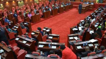Nairobi: Ward Representatives Exchange Blows Over KSh 100m Allocated for Foreign Trips