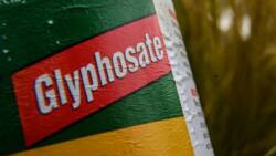 Glyphosate: where is it banned or restricted?