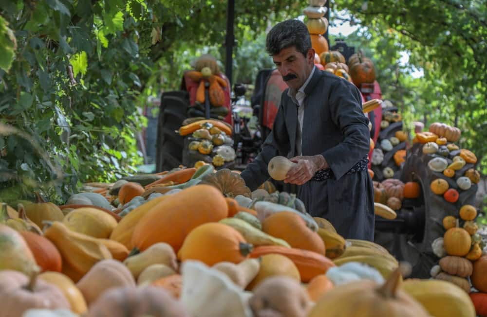 Iraqi Kurdish farmer Azad Muhamad, known as the Halabja model farmer, displays organic fresh produce at his farm near the Kurdish Iraqi town of Halabja