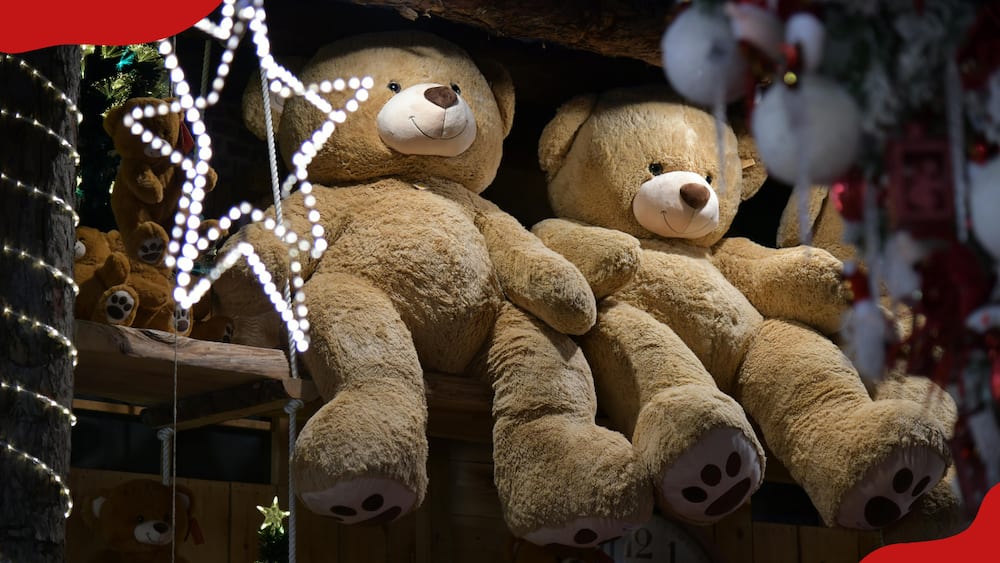 Two brown teddy bears