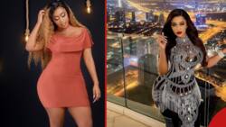 Battle of The Socialites: Kenyans Torn Between Amber Ray, Vera Sidika Who Is Queen of Soft Life