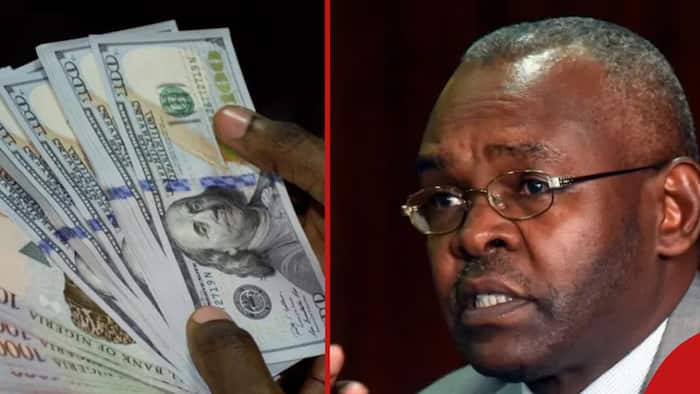 Kenya Shilling Still at KSh 146 Against US Dollar? Expect Second Free-Fall as Govt Predicts Decline