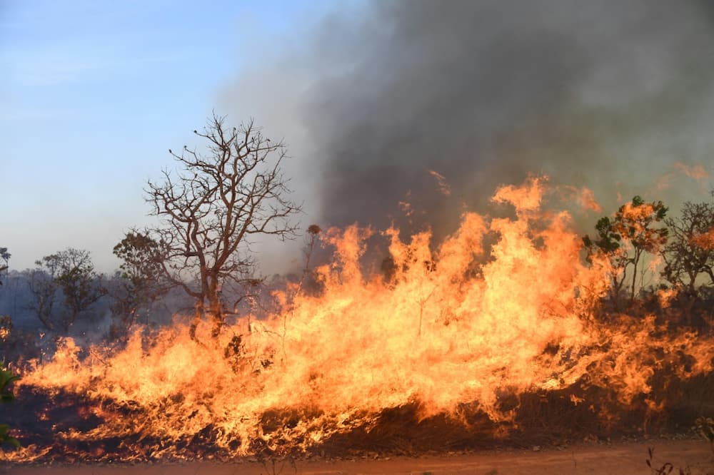 Flames consume an area of the Brasilia National Park in the Brazilian capital September 5, 2022