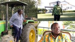 Francis Atwoli: List of Properties Owned by COTU SG and Companies He Serves as Board Member