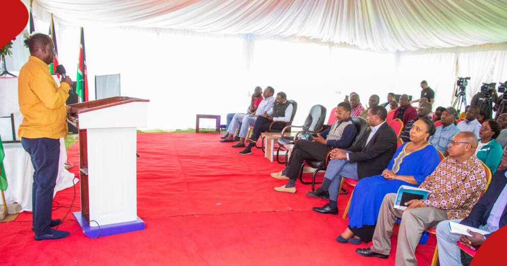 Raila Odinga Adai William Ruto Amefeli katika Mwaka Wake wa 1 Ikulu: "Wamepata D"