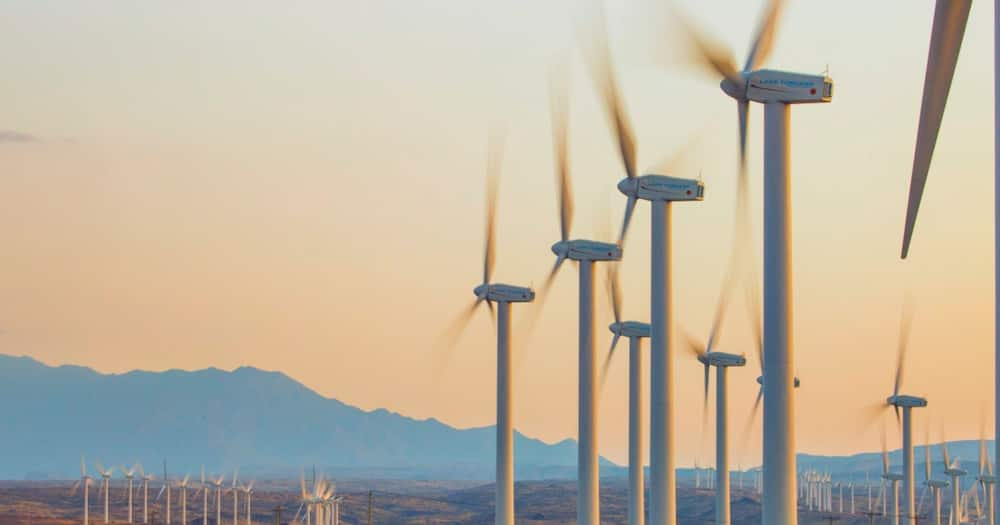 The wind power project was launched in July 2019.