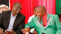 I'll Resign from Politics if William Ruto Becomes President, David Sankok