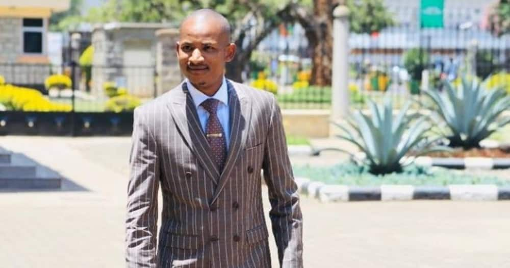 Babu Owino pleads with Luhya community to support Raila in 2022: "We'll support Mudavadi in 2027"