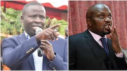 Stephen Sang Cautions Moses Kuria Against Making Contentious Remarks: "We’re Government"