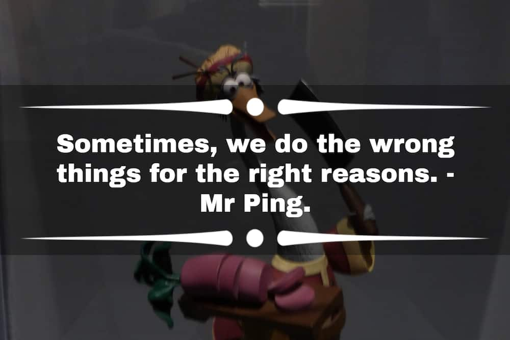 Kung Fu Panda quotes