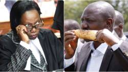 Martha Karua Warns of Maize Scandal Season 2 Through GMO Imports: "Get Rich Quick Medium"