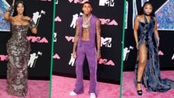 MTV VMAs 2023: 5 Best-Dressed Celebrities Who Paid Homage to Elegant Rock & Roll's Red Carpet Looks