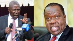 Matiang'i Ampa Mwanawe Maina Kamanda Kazi Nyingine ya Serikali