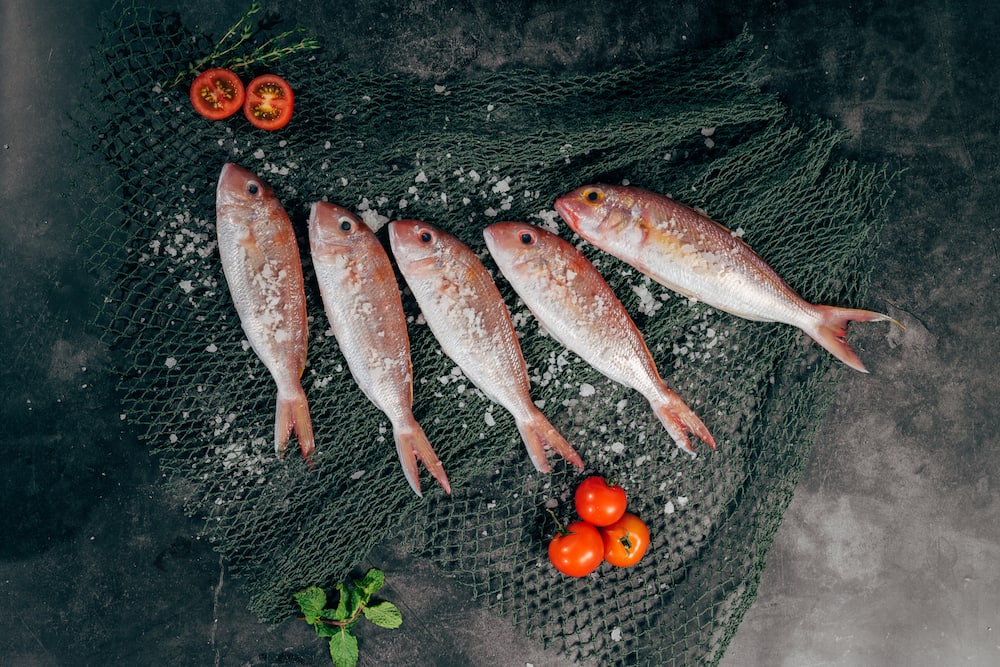 In the Pacific Ocean, One of the World's Most Popular Fishes Could