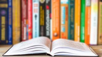 list of 66 books of the bible list of 66 books of the bible