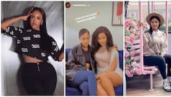 Same Team: Diamond's Baby Mamas Tanasha Donna, Hamisa Mobetto Show Each Other Love in Cute Messages