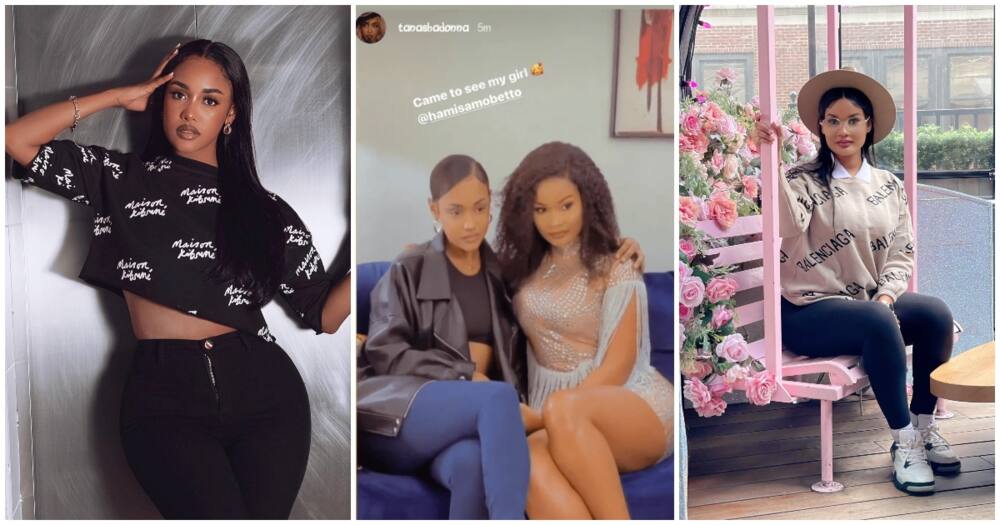 Diamond's baby mamas Tanasha Donna, Hamisa Mobetto show each other love.