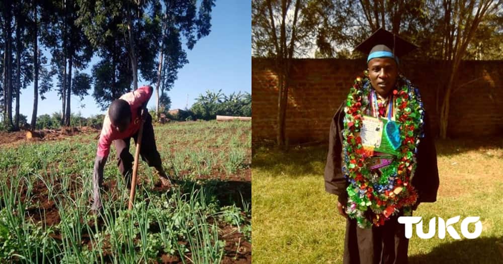 Meet Actuarial Science graduate from Chuka forced into farming before securing formal employment