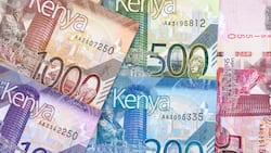 Latest allowances and per diem rates for civil servants in Kenya