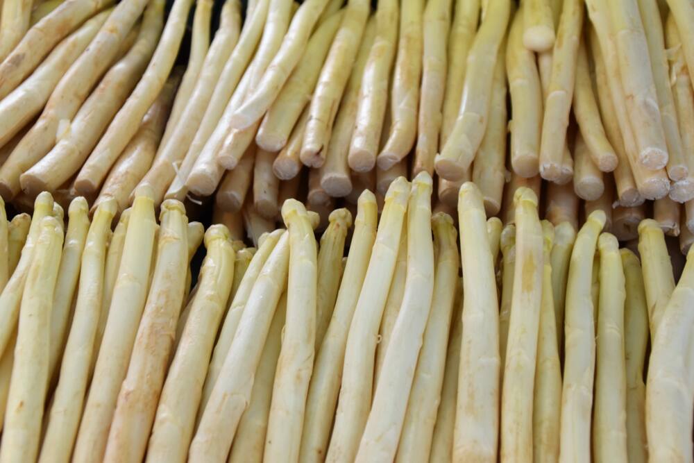 How to cook white asparagus