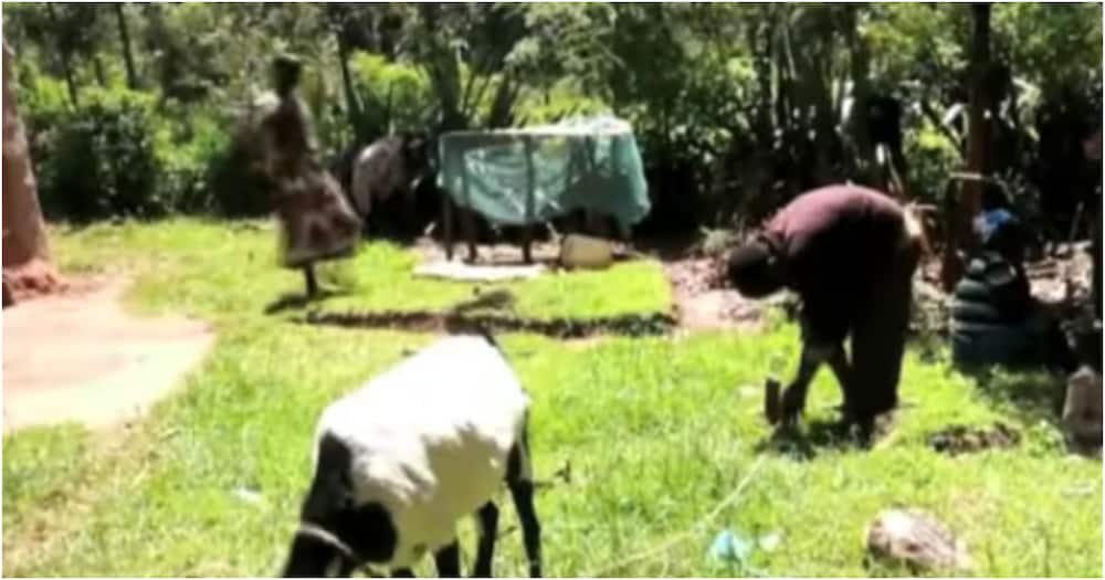 Bungoma boy forced to stay with corpse for hours after discovering it