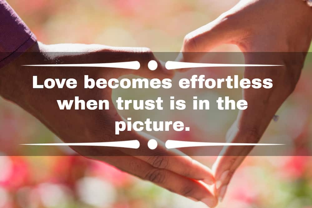 quotations on trust and love