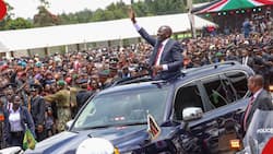 William Ruto: All Levels 1, 2 and 3 Hospitals to Provide Free Medical Care, Gov't to Foot Bills