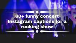 60+ funny concert Instagram captions for a rocking show