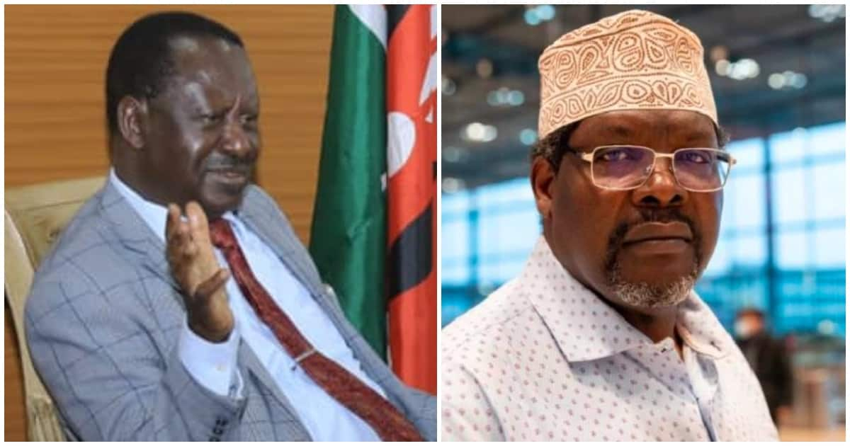 Miguna Miguna Lists Dethroning of Raila Odinga as Luo Nyanza Kingpin ...