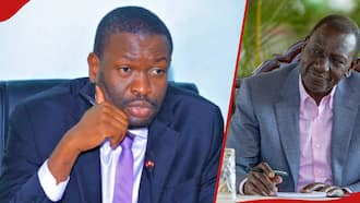 Edwin Sifuna Accuses President of Encouraging Govt Officials to Defy Court Orders: "I Heard Him"